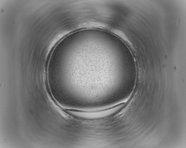 X0000070371040200606161312