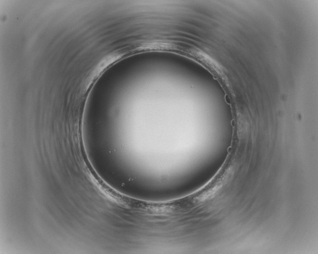 X0000070371041200606161312