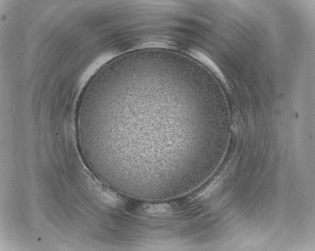 X0000070371043200606161312