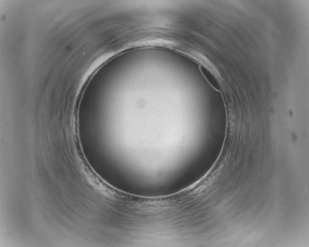 X0000070371044200606161312