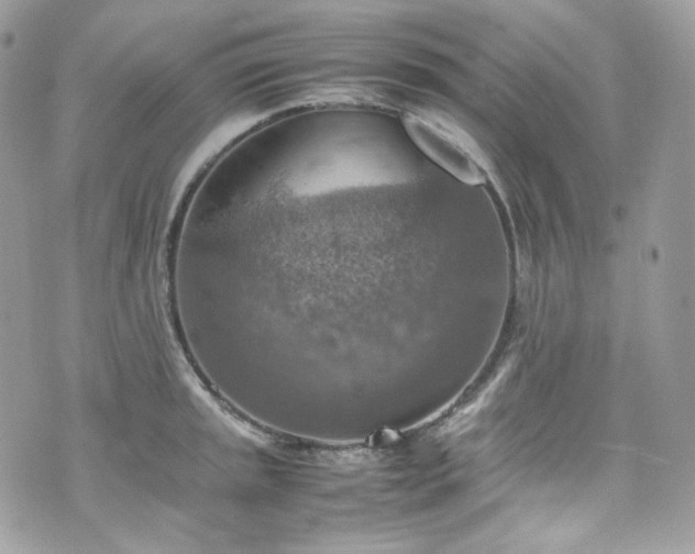 X0000070371045200606161312