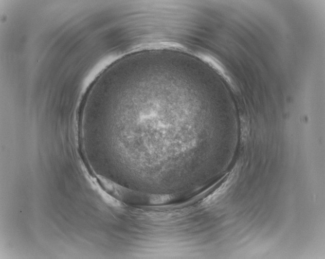 X0000070371046200606161312