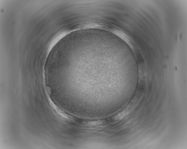 X0000070371047200606161312