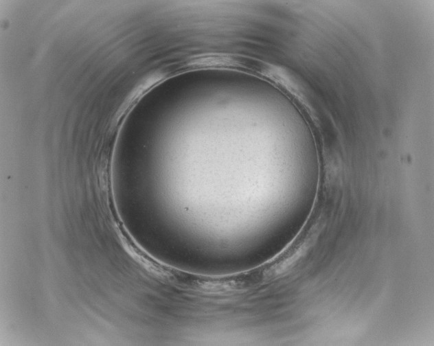 X0000070371049200606161312