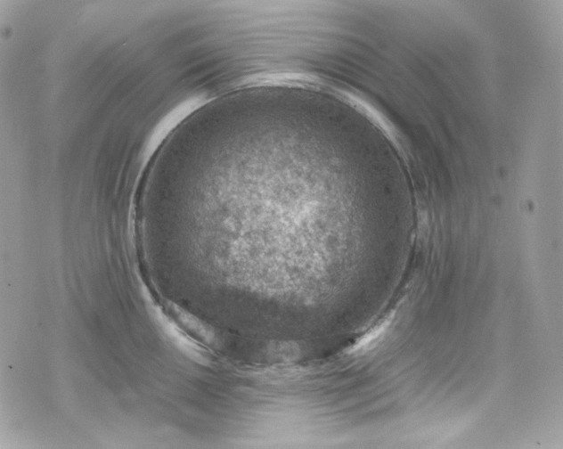 X0000070371050200606161312