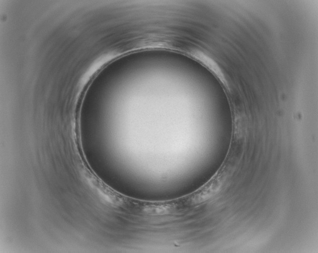 X0000070371051200606161312