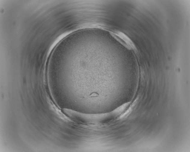 X0000070371052200606161312