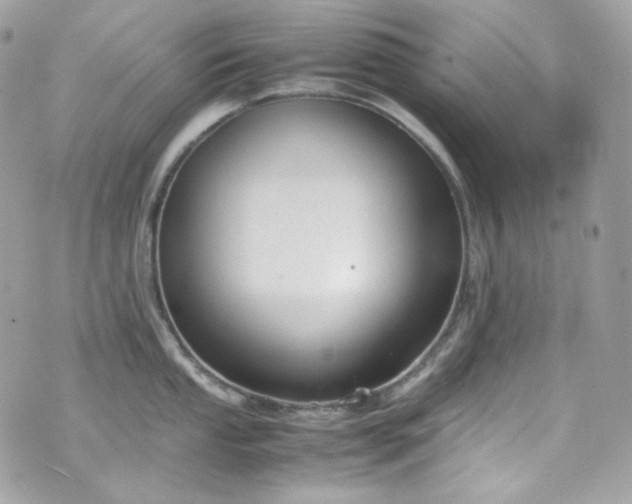 X0000070371053200606161312