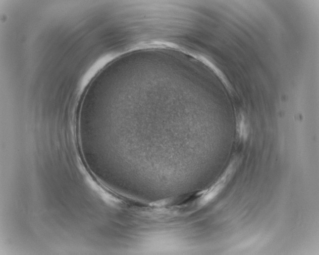 X0000070371054200606161312