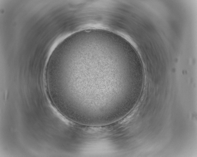 X0000070371056200606161312