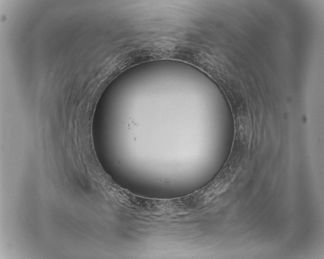 X0000070371057200606161311