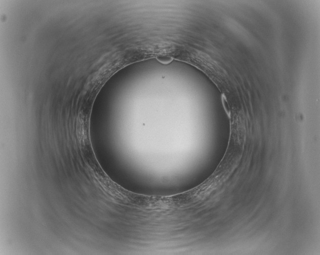 X0000070371058200606161311