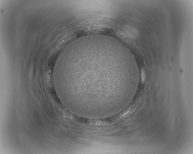 X0000070371059200606161311