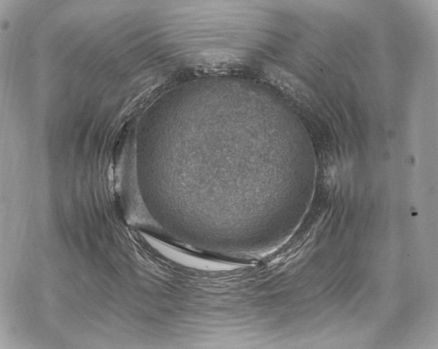 X0000070371060200606161311