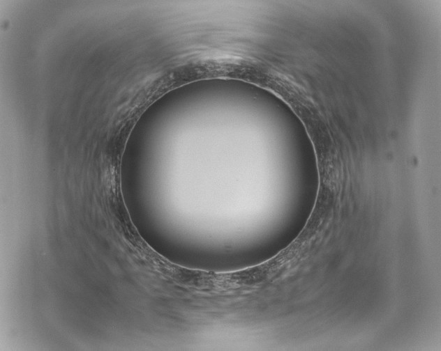 X0000070371061200606161311