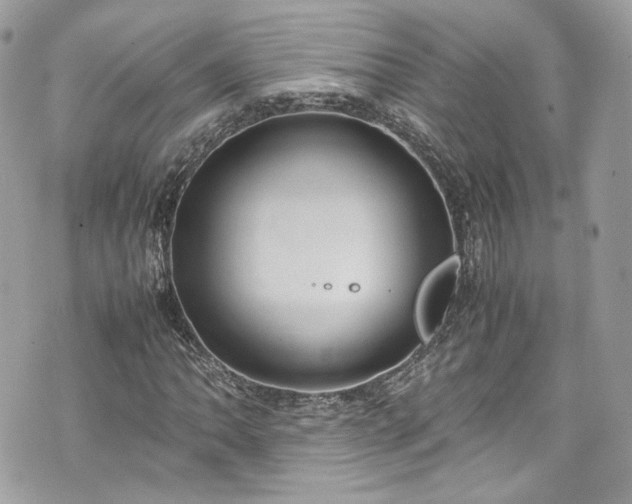 X0000070371062200606161311