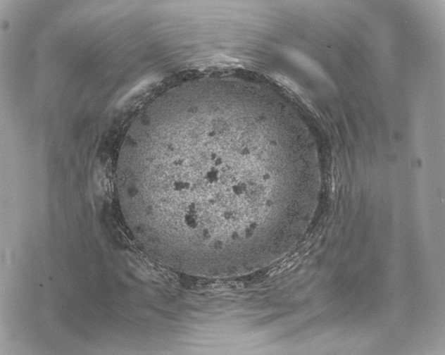 X0000070371063200606161311