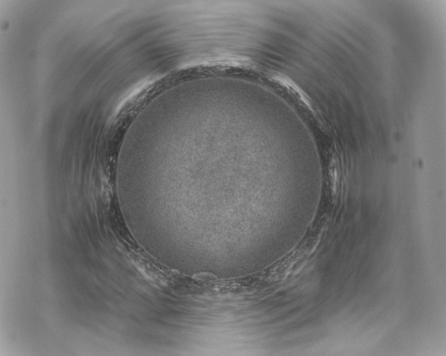 X0000070371064200606161311