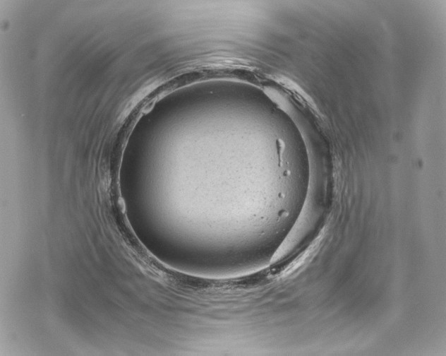 X0000070371065200606161311