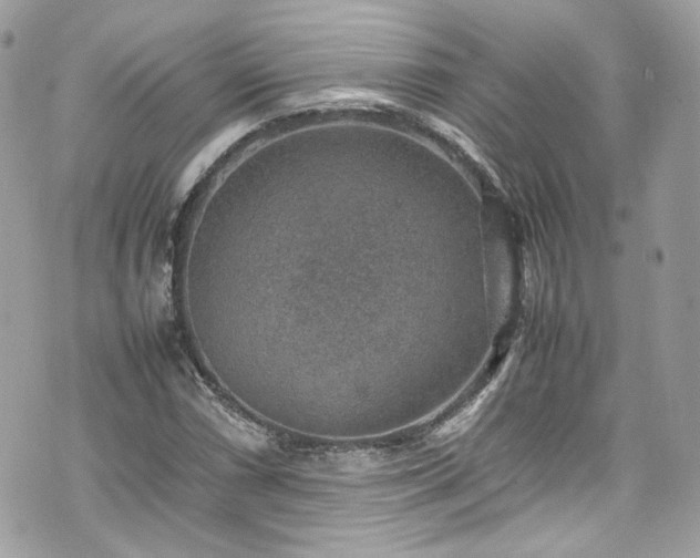 X0000070371066200606161311