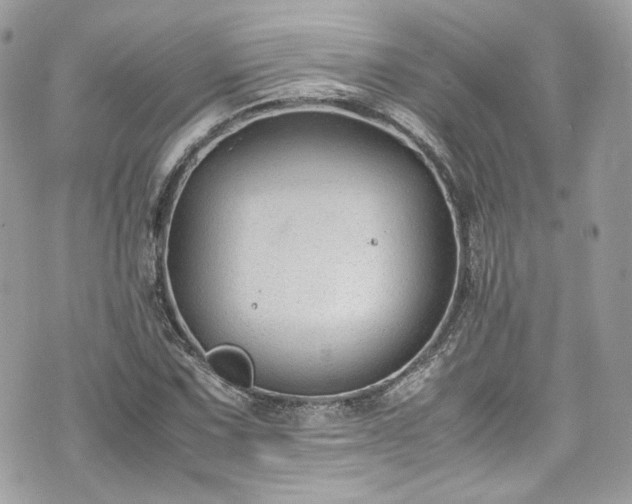 X0000070371067200606161311