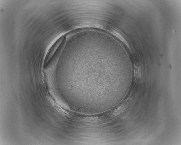 X0000070371068200606161311