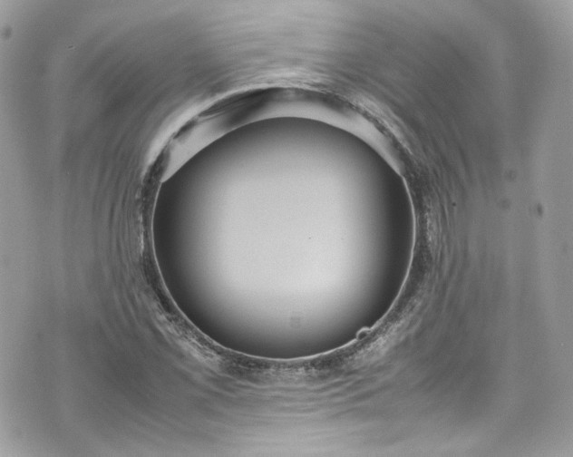 X0000070371069200606161311