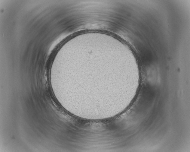 X0000070371070200606161311