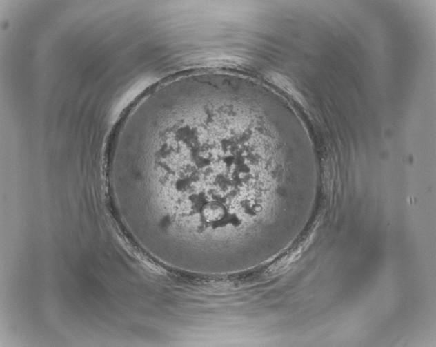 X0000070371071200606161311