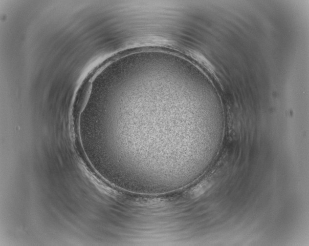 X0000070371072200606161311