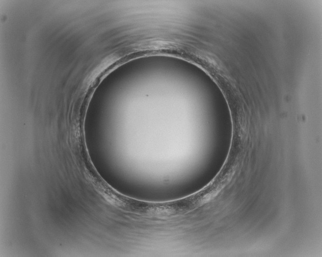 X0000070371073200606161311