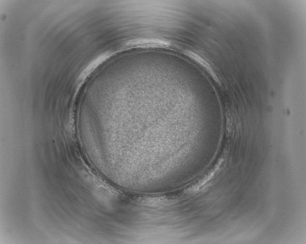 X0000070371074200606161311