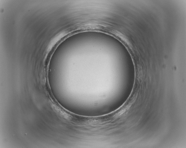 X0000070371075200606161311