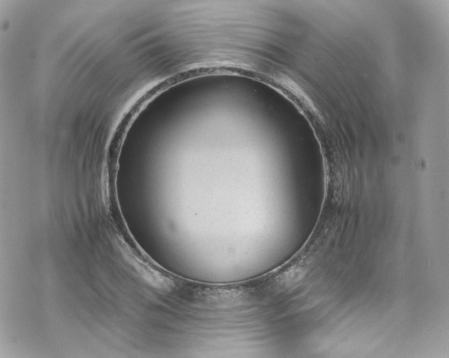 X0000070371076200606161311