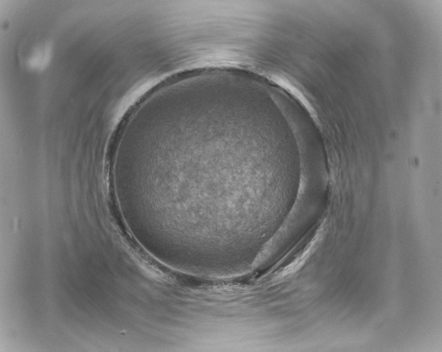 X0000070371077200606161311