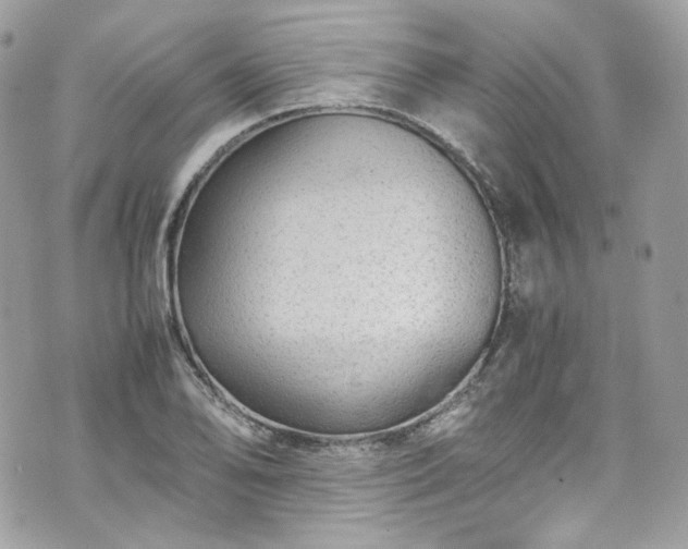 X0000070371078200606161311