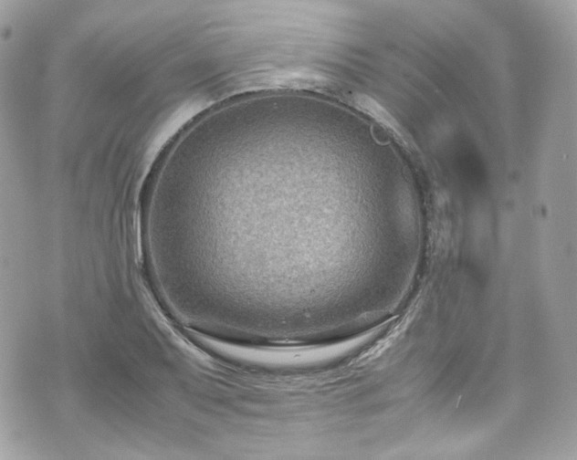 X0000070371079200606161311