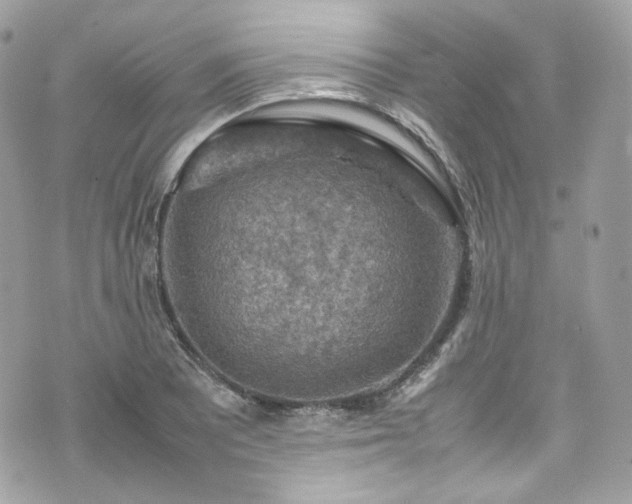 X0000070371081200606161311