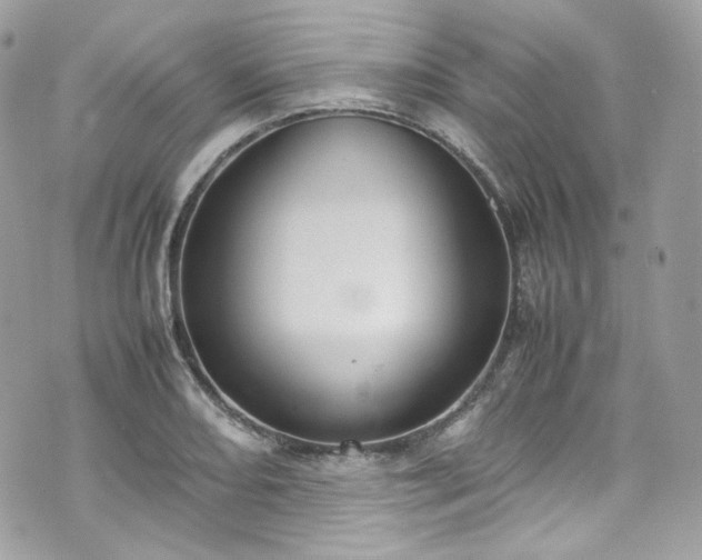 X0000070371082200606161311