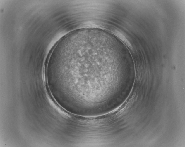 X0000070371084200606161311