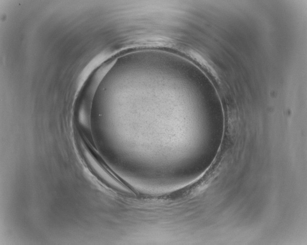 X0000070371085200606161311