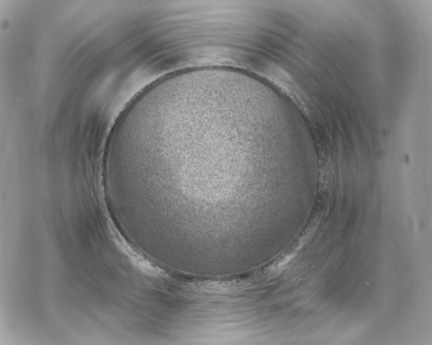 X0000070371086200606161311