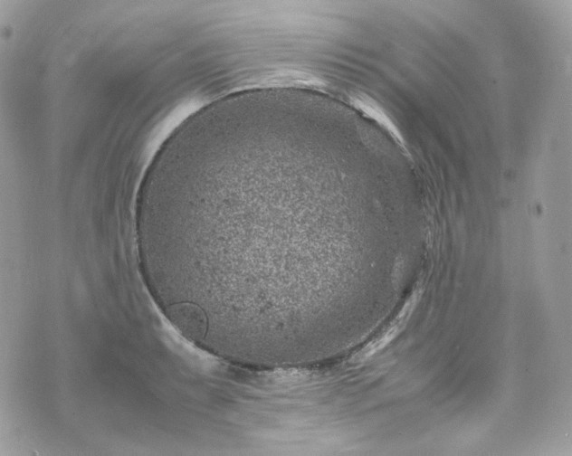 X0000070371087200606161311