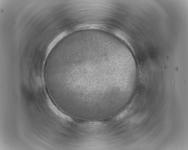 X0000070371090200606161311