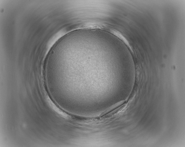 X0000070371091200606161311