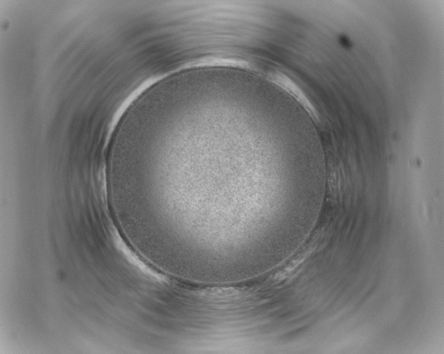 X0000070371092200606161311