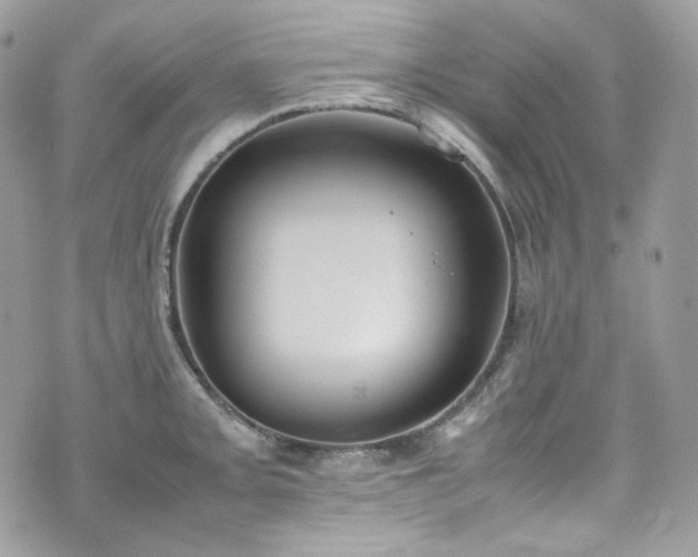 X0000070371093200606161311