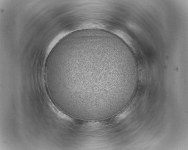 X0000070371094200606161311