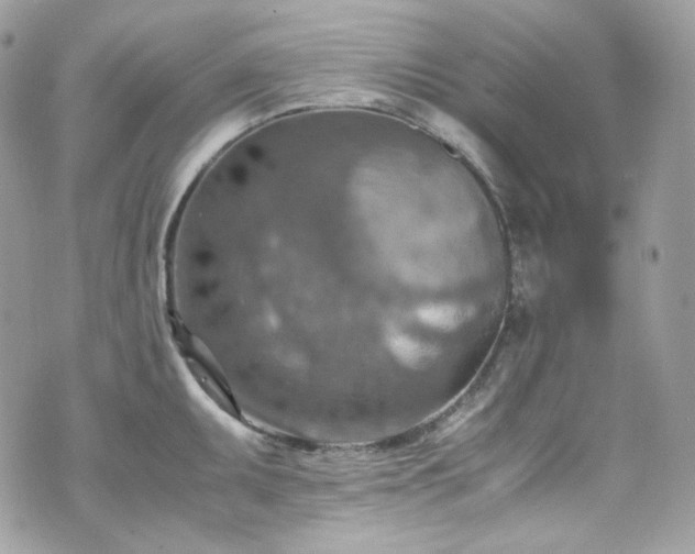 X0000070371095200606161311