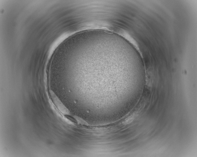 X0000070371096200606161311